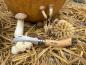 Preview: Pilzmesser Opinel mit Brüste, No. 08