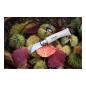 Preview: Opinel No 07 Kastanienmesser