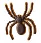 Preview: Spinne - Edelstahl, 9 cm