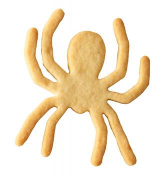 Spinne - Edelstahl, 9 cm