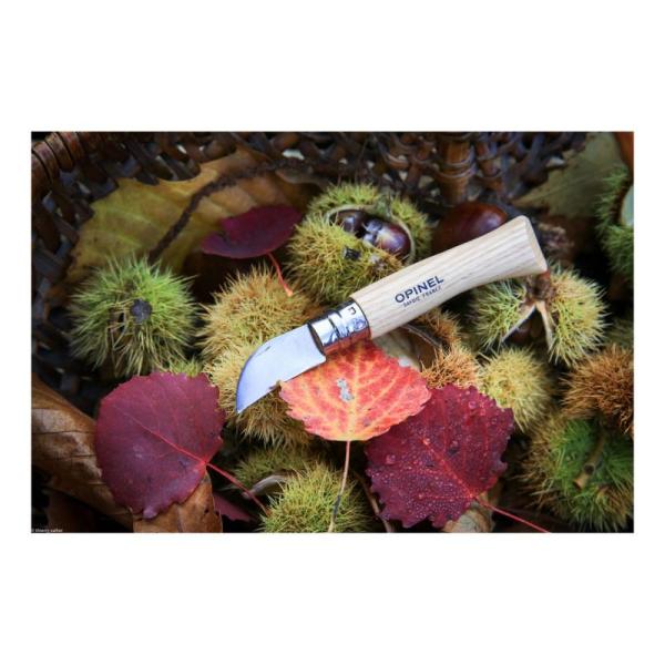 Opinel No 07 Kastanienmesser